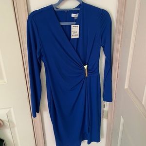 Calvin Klein Long Sleeve Dress